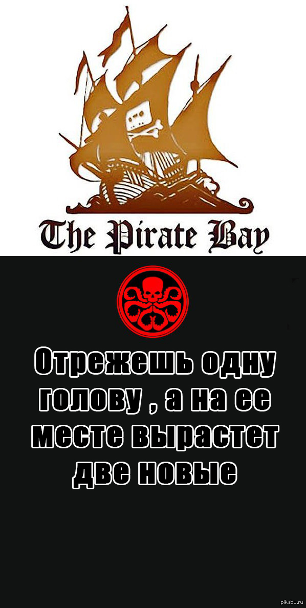 Как зайти на кракен с телефона андроид