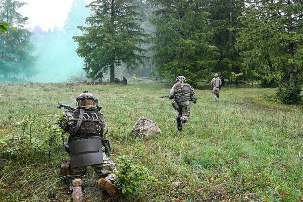 Что такое кракен плейс