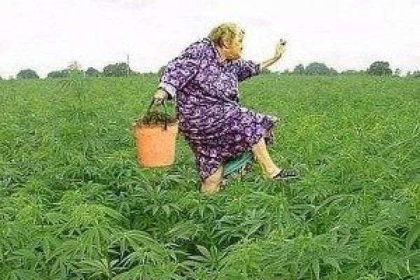 Кракен это что за магазин