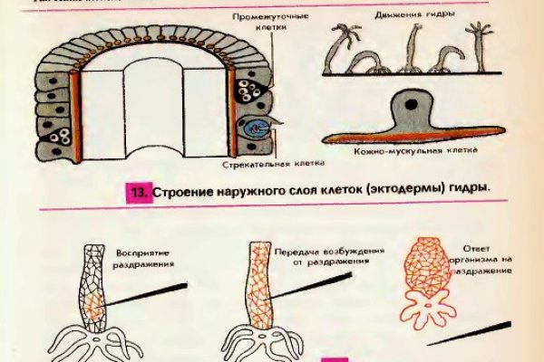 Где найти рабочую ссылку на кракен
