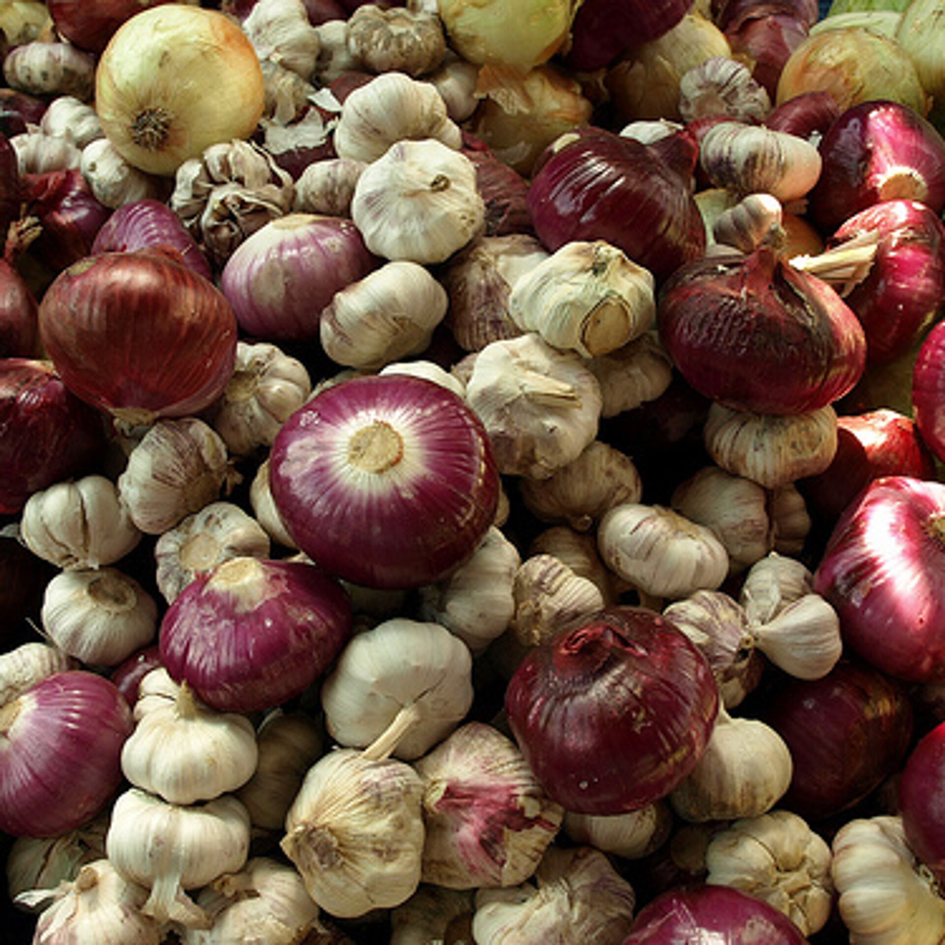 Как восстановить доступ к кракену